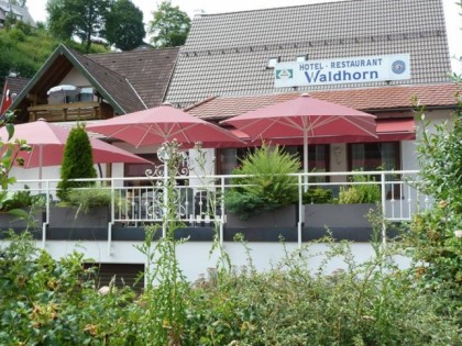 Фото: Waldhorn